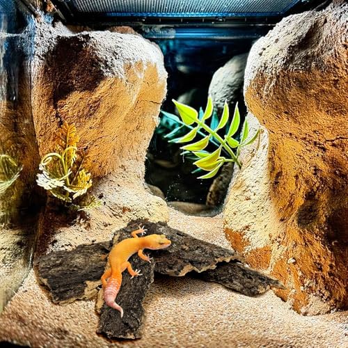 VCEPJH Cork Bark for Reptiles, 4 Pcs Natural Cork Flats for Terrarium Cork Wood Pieces for Snakes Spiders Bearded Dragons Hermit Crabs Geckos Isopod