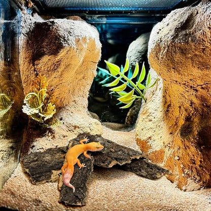 VCEPJH Cork Bark for Reptiles, 4 Pcs Natural Cork Flats for Terrarium Cork Wood Pieces for Snakes Spiders Bearded Dragons Hermit Crabs Geckos Isopod