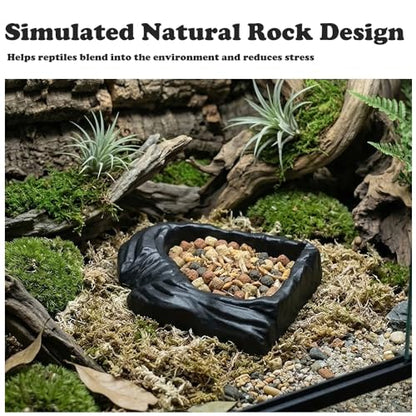 3 Pack Reptile Food Bowl Water Dish Fan Shape Feeding Basin for Gecko Bearded Dragons Snake Small Reptile