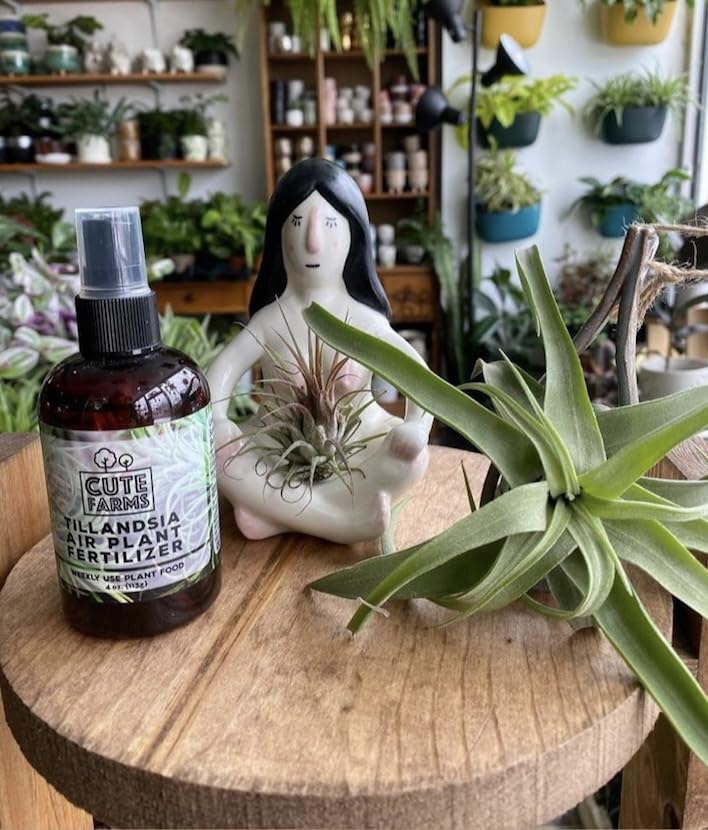 Cute Farms Tillandsia Air Plant Fertilizer | Gentle Weekly Use Formula Plant Food | Formulated Nutrients for Air Plants (4 oz. Spray Bottle) - size: 4 oz. Spray Bottle