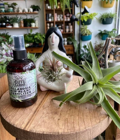 Cute Farms Tillandsia Air Plant Fertilizer | Gentle Weekly Use Formula Plant Food | Formulated Nutrients for Air Plants (4 oz. Spray Bottle) - size: 4 oz. Spray Bottle