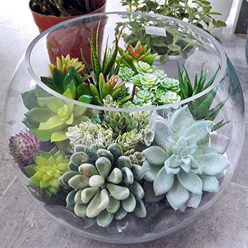 Winlyn 6 Pcs Unpotted Fake Succulents Assorted Faux Succulent in Different Green Artificial Hanging Succulents Textured Faux Succulent Pick Hanging String of Pearls Plant for Wedding Centerpieces