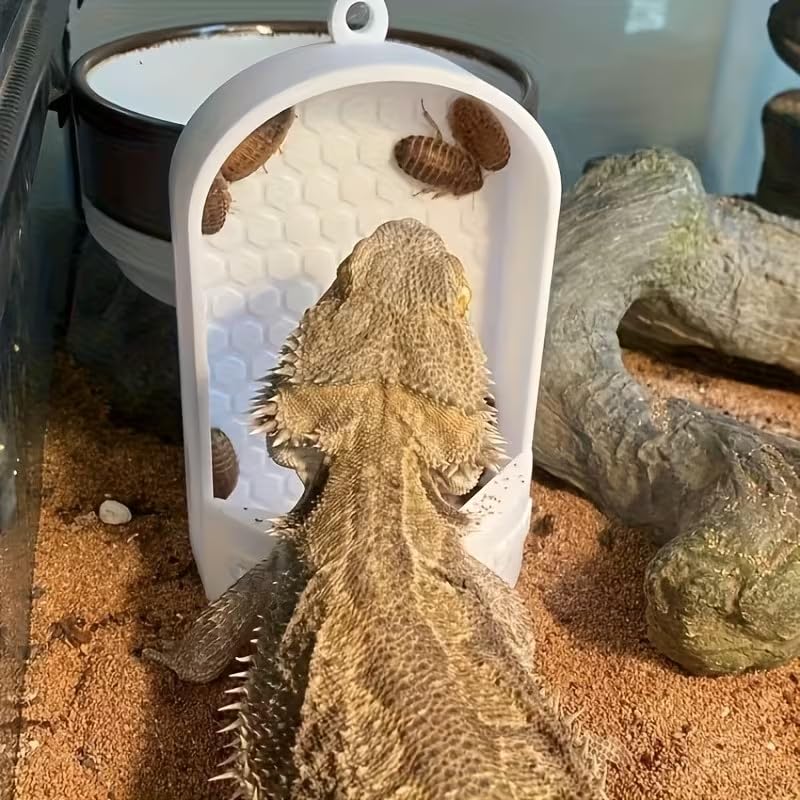 Feeding System and Dish for Live Food Designed for Lizards, Frogs, Geckos, and Chameleons a Secure Plastic Feeding Tank with a Hanging Feature, Insect Holder, Design a Safe Meal。 (White) - color: White