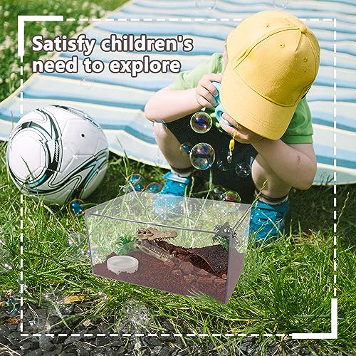 Acrylic Jumping Spider Terrarium Enclosure, Mini Reptile Tank Habitat with Locking Acrylic Spider Feeding Box for Tarantula Small Tree Dwelling Reptiles Insect (8x5x5 Inch)