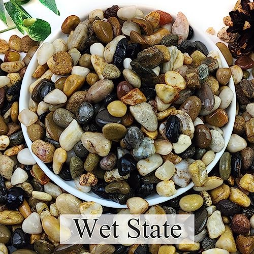 5lbs Natural River Rocks for Plants, 3/8" Aquarium Gravel | Decorative Polished Mixed Pebbles for Fish Tank, Gardening, Flower Pots, Vase Fillers, Indoor Water Fountains, Landscaping - size: 3/8 Inch
