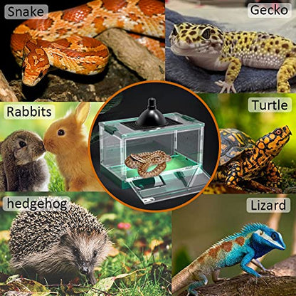 Large Snake Reptile Tank Habitat Cage, Grey Blue, 21.65"x12.6"x12.2" | Amphibians Habitat Cages, Sliding Screen Top, For Lizard, Gecko, Frog, Hamster - color: Grey Blue