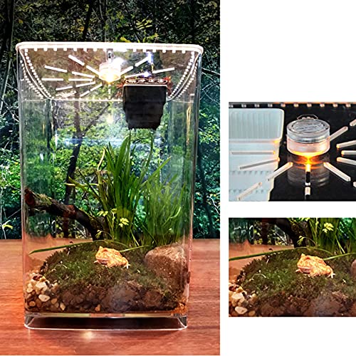 Acrylic Clear Reptile Terrarium Enclosure Cage, Reptile Breeding Box Lizard Spider Tank Climbing Pet Box with LED Light