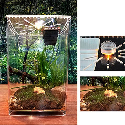 Acrylic Clear Reptile Terrarium Enclosure Cage, Reptile Breeding Box Lizard Spider Tank Climbing Pet Box with LED Light