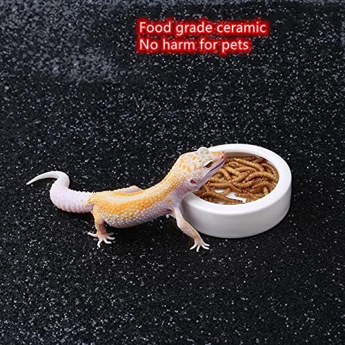 Reptiles Bowl Ceramics Dish 3.9 x 1 inch Round Feeder Anti-Escape Dubia Roach Breadworm Plate with Deep Edge for Lizard Gecko Tortoise (M)