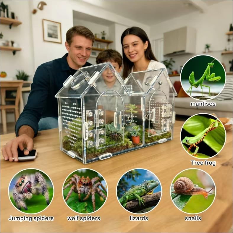 Jumping Spider Enclosure, Acrylic Terrarium with Partition Divider (1-2 Compartments), Dual Magnetic Doors & All-Side Ventilation, Jumping Spiders, Tarantulas, Mantis, GeckosHabitat, 9.6x4.2x5.8
