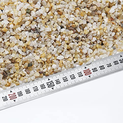 10lbs Coarse Sand Stone for Decorative Rocks, Soil Cover Bonsai, Succulent, Terrarium, Cactus, Aquarium, Garden, DIY, Natural Sand Top Dressing