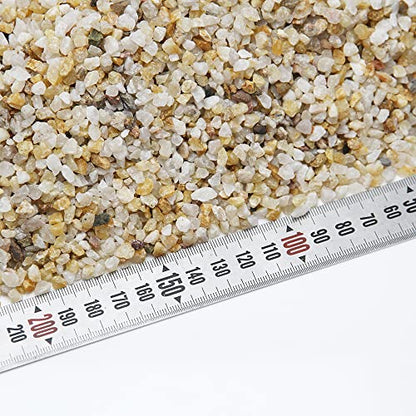 10lbs Coarse Sand Stone for Decorative Rocks, Soil Cover Bonsai, Succulent, Terrarium, Cactus, Aquarium, Garden, DIY, Natural Sand Top Dressing