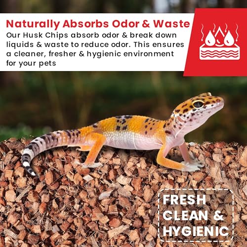 Gro-Med ReptiCare Compressed Coconut Chip Substrate for Reptiles 64 Quart Coco Husk Bedding Block for Ball Pythons, Snakes, Tortoises, Crested Geckos, Frogs, Hermit Crabs or Lizard Terrarium Tanks