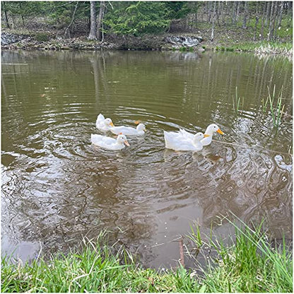 Natural Waterscapes Waterfowl Feed (5 lb) Floating Duck Food | for Wild Ducks, Pet Ducks, Geese, Swans