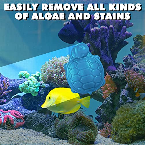 2 Pcs Algae Cleaning Scrapers Aquarium Tank Glass Brush Small Aquarium Magnet Cleaner Fish Tank Algae Cleaner Magnetic Cistern Glass Detergent for Fish Urn Detergent(Tortoise,Blue, Coffee Black)