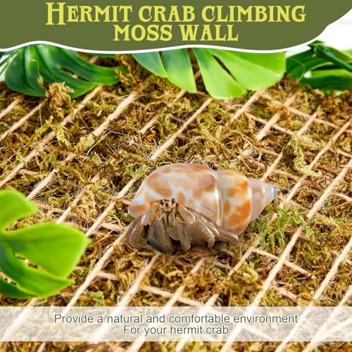 Ripeng 4 Pcs 6 Inch Hermit Crab Climbing Wall Adjustable Reptile Decor with 16 Suction Cups Hook and 1 Hemp Rope for 10 Gallon Tank Hermit Crab Supplies Fish Tank Decorations Climbing Toy