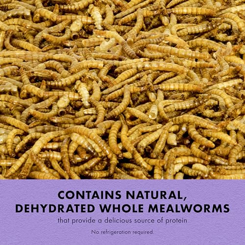 Zilla Reptile Munchies, Mealworms, All-Natural, Dehydrated Mealworms, Ideal for Bearded Dragons, Leopard Geckos, Chameleons and other lizards, Resealable Bag | All-Natural, Dehydrated, Ideal for Bearded Dragons, Leopard Geckos, Chameleons and Other Lizard