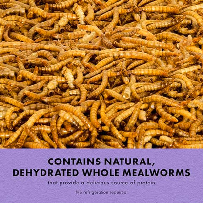 Zilla Reptile Munchies, Mealworms, All-Natural, Dehydrated Mealworms, Ideal for Bearded Dragons, Leopard Geckos, Chameleons and other lizards, Resealable Bag | All-Natural, Dehydrated, Ideal for Bearded Dragons, Leopard Geckos, Chameleons and Other Lizard