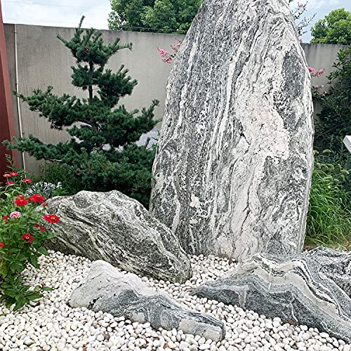 FANTIAN 10 lbs White River Rocks, 1-2 Inch Polished Pebbles for Indoor Plants, Decorative White Stones for Plants, Vase, Aquarium, Fish Tank, Landscaping and Garden - size: 1-2 Inch, style: 10 Pounds