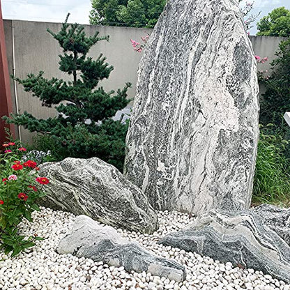 FANTIAN 10 lbs White River Rocks, 1-2 Inch Polished Pebbles for Indoor Plants, Decorative White Stones for Plants, Vase, Aquarium, Fish Tank, Landscaping and Garden - size: 1-2 Inch, style: 10 Pounds