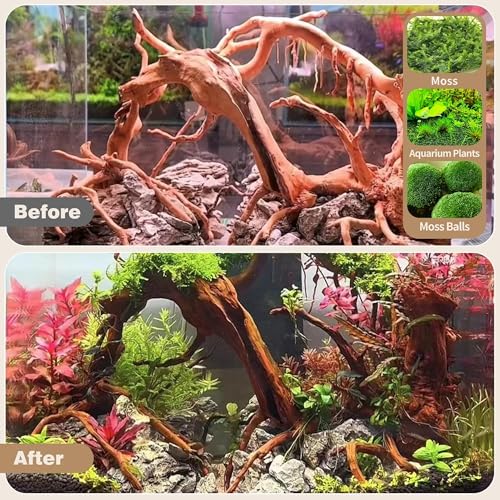 WDEFUN Natural Spiderwood for Aquarium Decor 3-Piece 7''-11'' Long Natural Driftwood Branches for Fish Tank Decorations - size: Spiderwood （7-11 inch pack of 3）