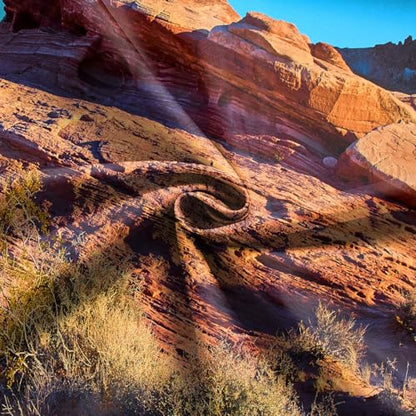 7x5FT Desert Backdrop Reptile Habitat Blue Sky Desert Rocky Bush Natural Scenery Photography Background Aquarium Background Hiking Camping Pictures Home Decor Photo Studio Props - color: Natural landscape backdrop 3