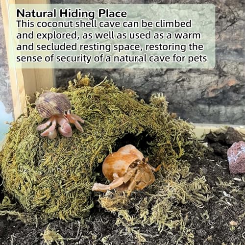 Tfwadmx 1PCS Leopard Gecko Hide, Coconut Reptile Hides Cave, Snake Hideout Mossy Caves Climbing Hide Reptile Tank Decor for Lizard Gecko Hermit Crab