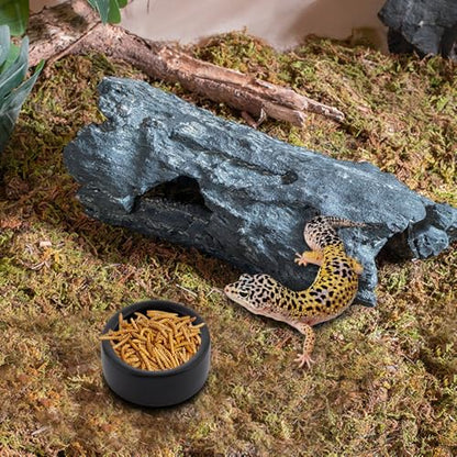 3 Pack Reptile Ceramic Feeding Bowl Food and Water Dish Anti Escape Bowl for Small Reptile Spider Lizard Gecko Frog Turtle Hermit Crab (Black)