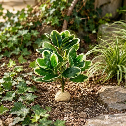 EupHHonycs Reptile Plants Artificial Leaves Reptile Tank Decorations | Fake Plants for Reptiles Terrarium for Bearded Dragon Lizard Snake Chameleon Geckos Amphibian Habitat Terrariums Decor