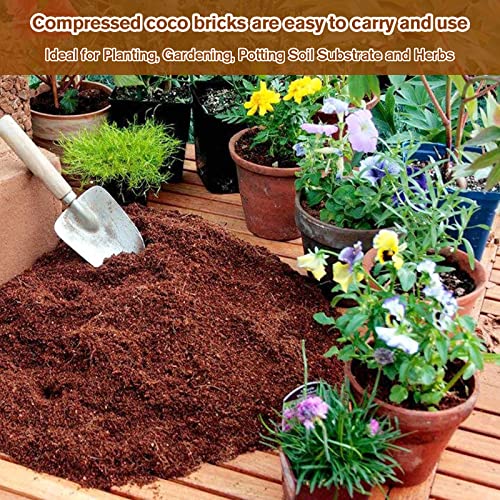 10Pack Organic Coco Coir Brick for Plants, Natural Coconut Coir Soil | Moisture Retention, Coconut Fiber Substrate for Seed Starting, Soil Amendment, Potting Mix, Gardening, Composting & Reptile - size: 10 Pack