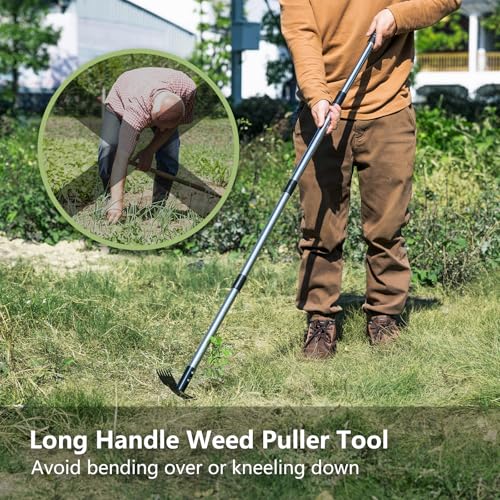 Weed Remover Tool with Long Handle(58IN), 2-in-1 Hand Weed Puller with Rake & Garden Hoe Combo for Gardening, Manual Weeding Tools for Gardens, Yards, Patios, Lawns, and Paved Areas
