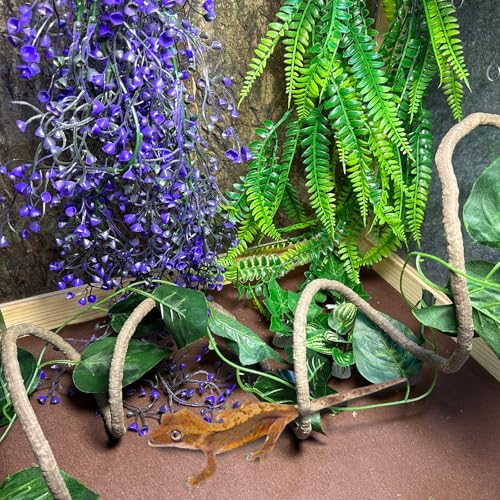 8PCS Bearded Dragon Hammock Reptile Basking Platform Rock Reptile Artificial Plants Leaves & Vines Lizard Habitat Decor Terrarium Tank Accessories for Hiding & Climbing Snake Gecko Bird Chameleon