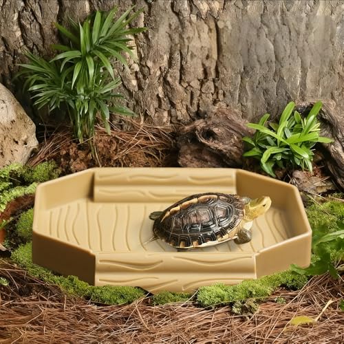 Small Tortoise Habitat Turtle Bathing Pool Food and Water Bowl Reptile Tank Decoration for Small TurtleTortoise