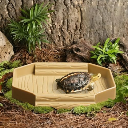 Small Tortoise Habitat Turtle Bathing Pool Food and Water Bowl Reptile Tank Decoration for Small TurtleTortoise