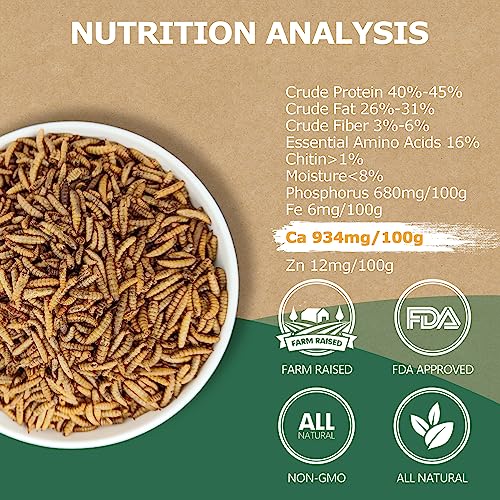 Premium Dried Black Soldier Fly Larvae for Chickens - 5LB High Calcium Supplement, Molting and Laying Support, Non-GMO & High-Protein Treats, Food for Wild Birds, Ducks, Reptile | Top Grade - size: 5 Pound (Pack of 1)