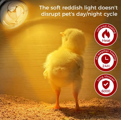 250W Heat Lamp Clear Infrared Bulbs, Flood Light Heat Lamp Bulb for Food Service, Brooder Bulb, Chicks, Pet, Bathroom, Light Therapy Use, Glass, 2 Pack - style: Clear-250W-2Pack