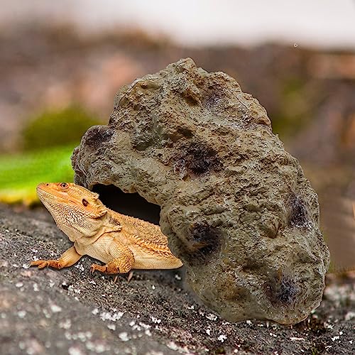 Anxingo Reptile Rock Reptile Cave Hideout for Snakes/Geckos/Lizards/Turtles and Other Amphibians, with Dinosaur Skull (Small) - size: S