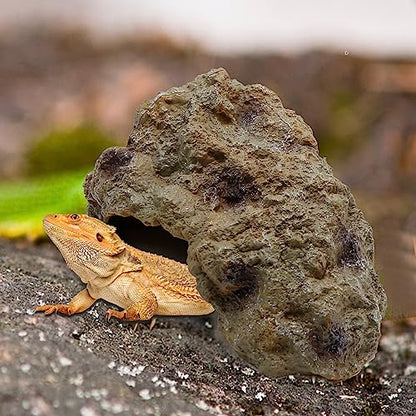 Anxingo Reptile Rock Reptile Cave Hideout for Snakes/Geckos/Lizards/Turtles and Other Amphibians, with Dinosaur Skull (Small) - size: S