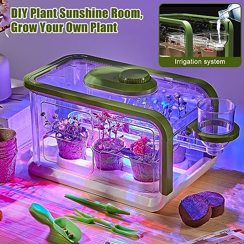 Kids Plant Growing Kit, Kids Gardening Greenhouse Growing Kit with Drip Irrigation and Grow Lights, Science STEM Toys Terrarium Kit for Boys Girls 3 4 5 6 7 8 Year Old,Kids Flower Growing Kit