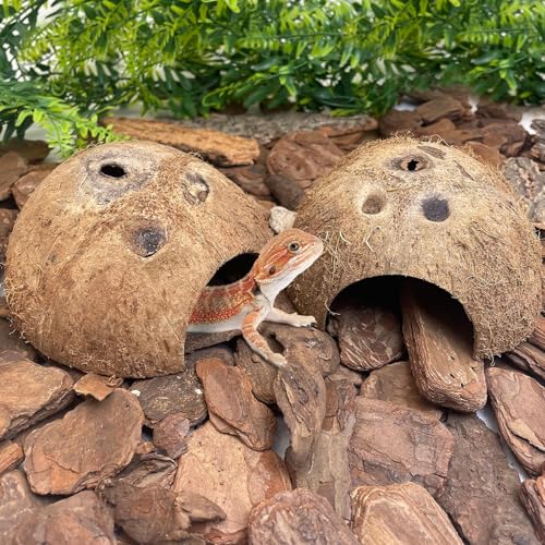 PINVNBY Natural Coconut Reptile Hideouts Lizard, Coco Hut Hermit Crab Hut Aquarium Fish Hide Cave for Small Reptile Crested Gecko Leopard Gecko Spider Snail Climber Toys (2 PCS Natural Surface) - size: 2 PCS Natural Surface