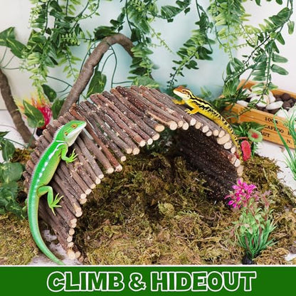 Hysagtek Bearded Dragon Tank Accessories - Reptile Hideout Bridge Climbing Plants Crested Gecko Tank Accessories Terrarium Decoration for Lizard Frog Snake Leopard Gecko Crab Hermit Crab Chameleon