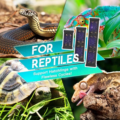 Dimmable LED Reptile UVB Lamp, 8000 Hours UVB Duration for Much Longer Lifespan, Adjustable 4/8/12-Hour Cycles, Suitable for Lizard and Chameleon, 12W, L Size - size: 12INCH