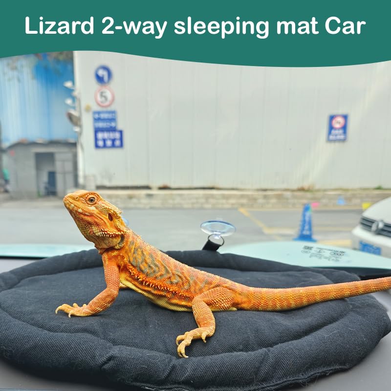 Lizard 2-Way Sleeping mat Car/Landscape Tank Lizard car Hammock Small Animal Support Bed Suitable for Small Animals Hamsters Chinchillas mice Birds Mane Lion Lizards Kittens