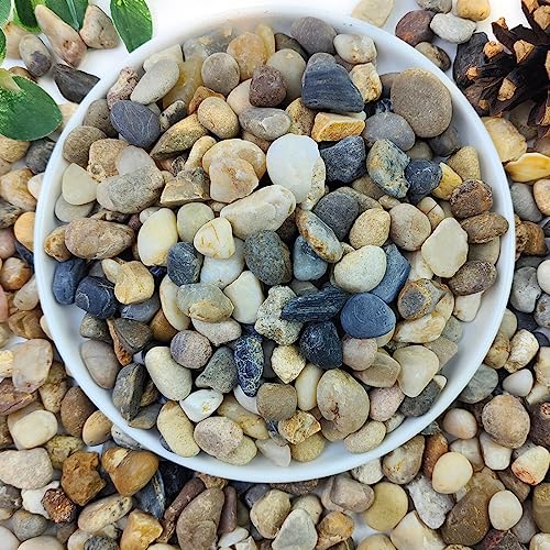 2lbs Natural River Rocks for Plants, 3/8" Aquarium Gravel | Decorative Polished Mixed Pebbles for Fish Tank, Gardening, Flower Pots, Vase Fillers, Indoor Water Fountains, Landscaping - size: 3/8 Inch