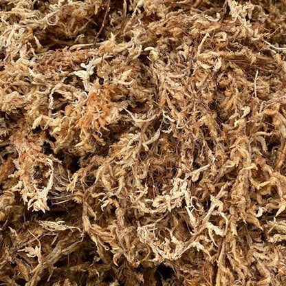 Better-Gro Sphagnum Moss - 100% Natural, Long-Fiber Moss for Orchids, Ferns, and Hostas, Excellent for Hanging Baskets and Propagating Plants - 240 Cubic Inches - size: Single