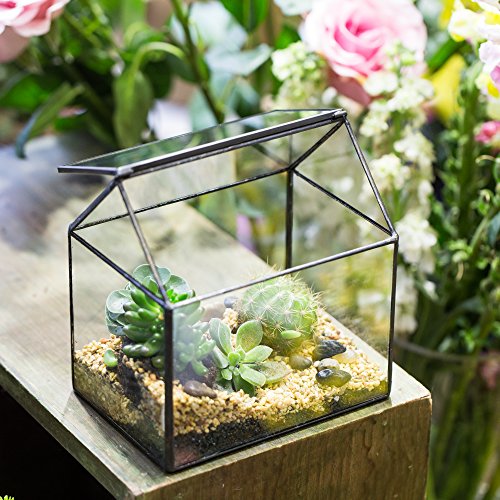 NCYP Small 6.1" x 6.3" x 4.33" Glass Terrarium Box with Lid for Succulent, Air Plants - House Shape Closed Geometric Planter Pot - Home Garden Tabletop Decoration, Black (No Plants)