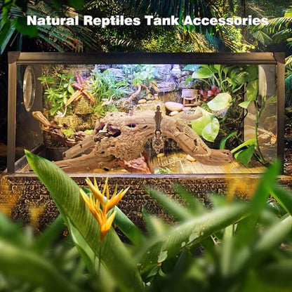WDEFUN Natural Spiderwood for Aquarium Decor 2-Piece 11''-14'' Long Natural Driftwood Branches for Fish Tank Decorations - size: Spiderwood （11-14 inch pack of 2）