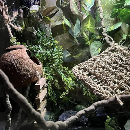 5PCS Coconut Hut for Gecko, Lizard Coco Den with Ladder and Reptile Hammock Bearded Dragon Tank Accessories Climbing Hanging Plants Jungle Vine Flexible Reptile Leaves Decor - style: 【Style A】