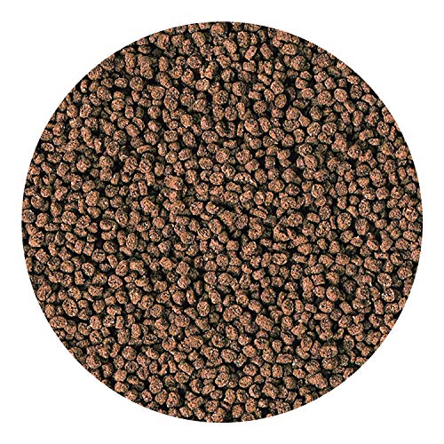Hikari Marine-S Pellets Fish Food for Smaller Marine Fish
