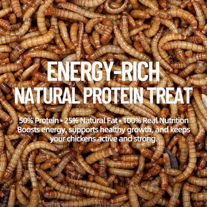 30LB Premium Non-GMO Dried Mealworms - High-Protein Natural Feed & Chicken Treats for Chickens, Ducks, Wild Birds, Quails & Reptiles - Support Egg Production & Feather Growth - size: 30 Pound (Pack of 1)